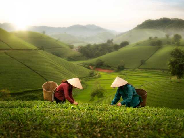 4f6ba6d7 f5e0 49b7 9cfa a1115594712d